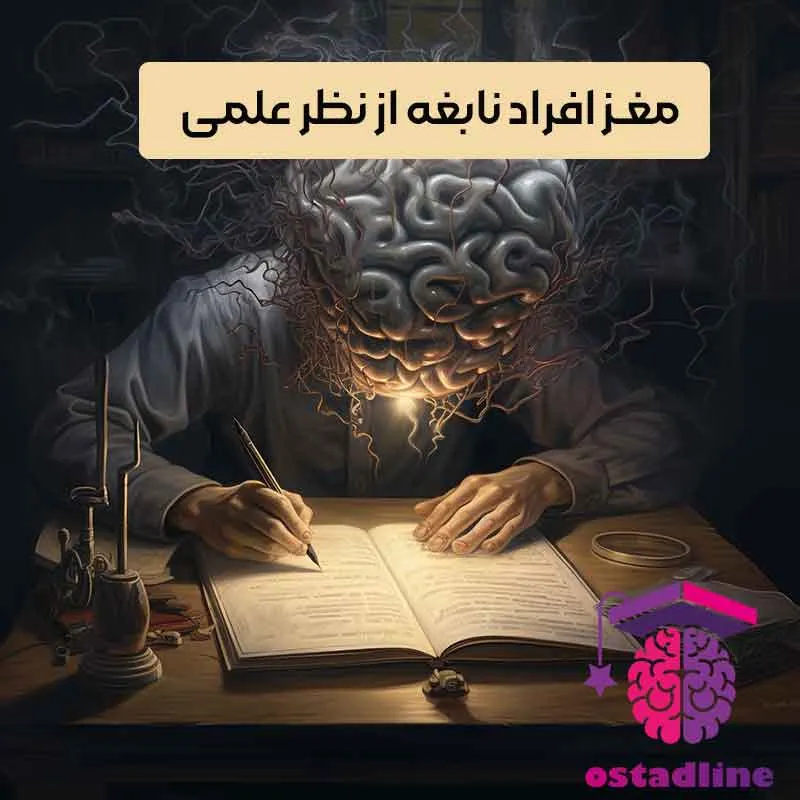 مغز افراد نابغه از نظر علمی | استادلاین