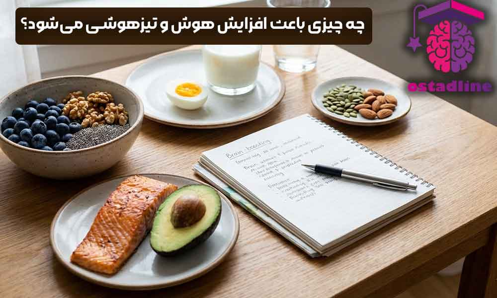 چه چیزی باعث افزایش هوش و تیز هوشی کودکان می‌شود؟ | استادلاین